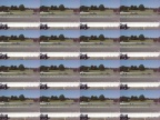 LimeRockParkRace 8 5 06 160