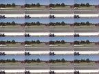 LimeRockParkRace 8 5 06 161