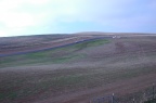 DSC 1865
