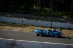 IMG_8014.JPG