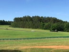 IMG_3351.JPG