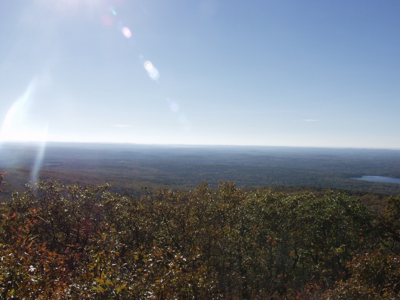 PA303908.jpg