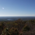 PA303916