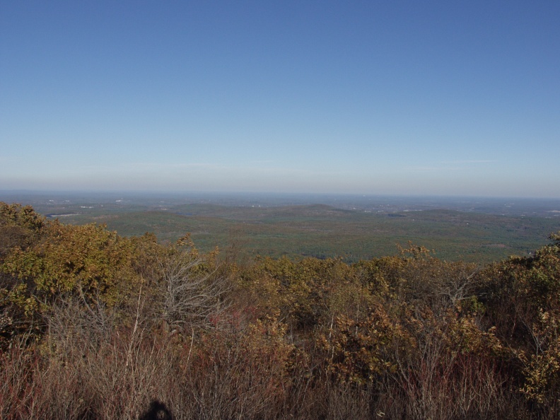 PA303931.jpg