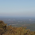 PA303932