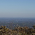 PA303933