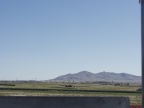 P9117432
