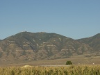 P9117456
