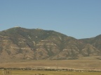 P9117459