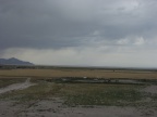P9137524