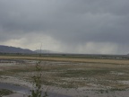 P9137526
