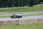 IMG 6291