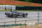 IMG 6528