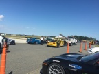 IMG_3981.JPG