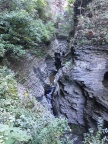 IMG_8542.JPG