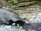 IMG_4672.JPG