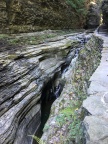 IMG_8561.JPG