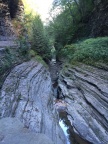 IMG_4674.JPG