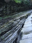 IMG_4676.JPG