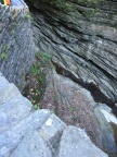 IMG_4680.JPG