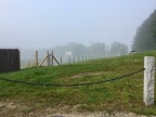 IMG_4693.JPG